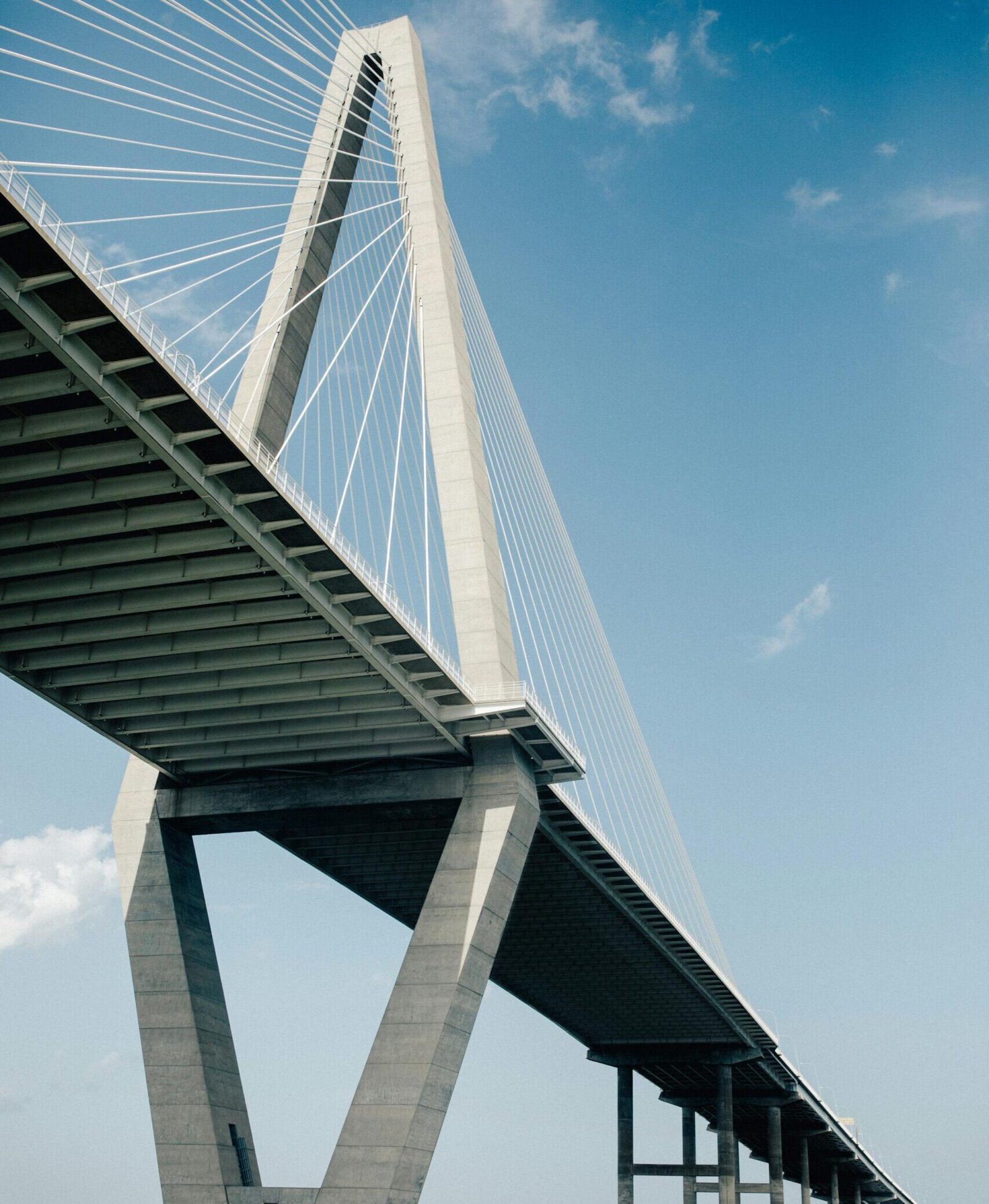 This image second (2)